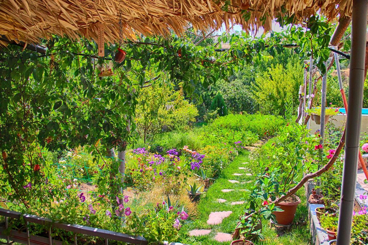 Ashot & Gohar B&B Ch'iva Ngoại thất bức ảnh