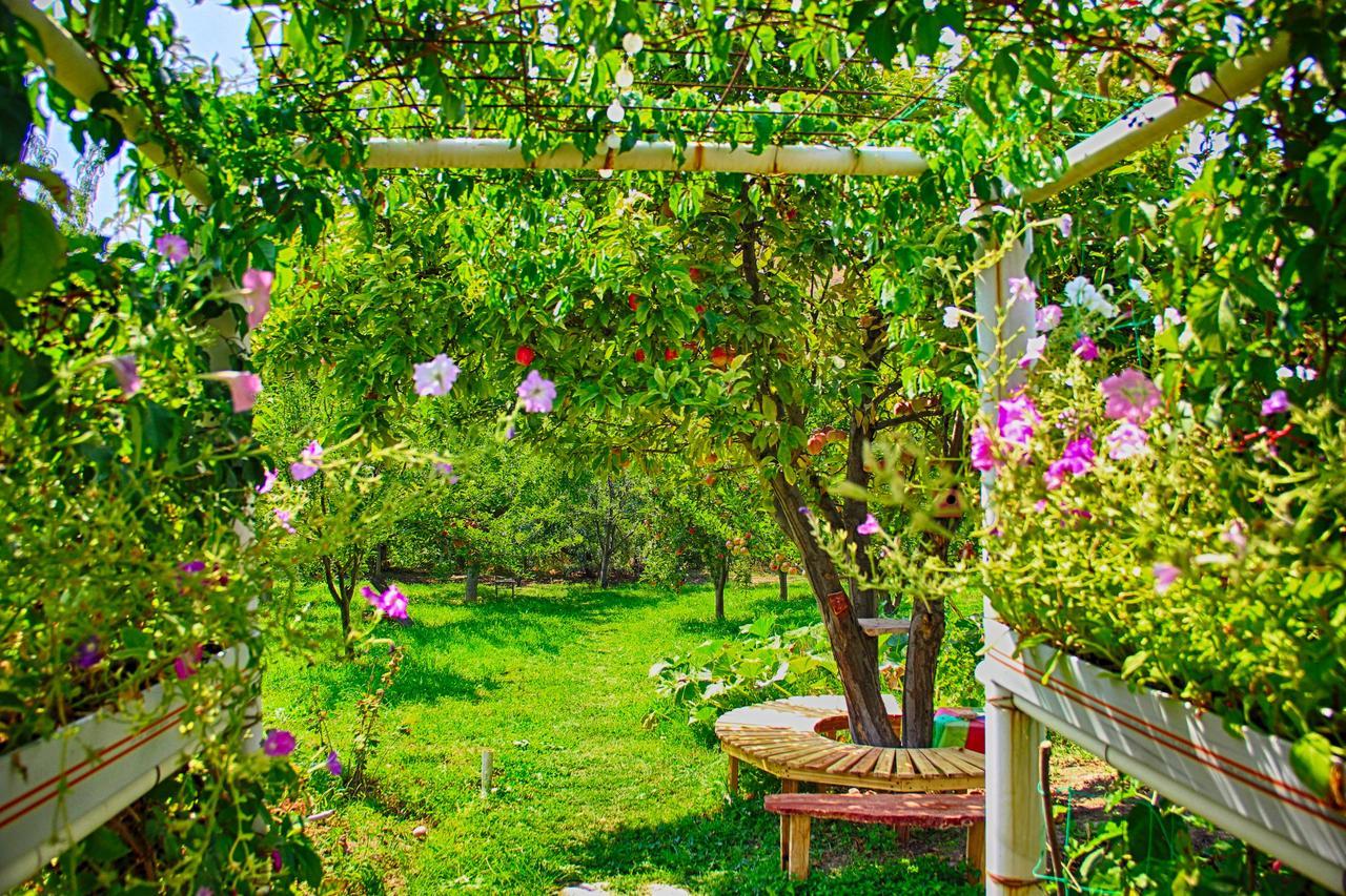 Ashot & Gohar B&B Ch'iva Ngoại thất bức ảnh